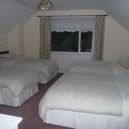 Hillside House Couette-café Gorey